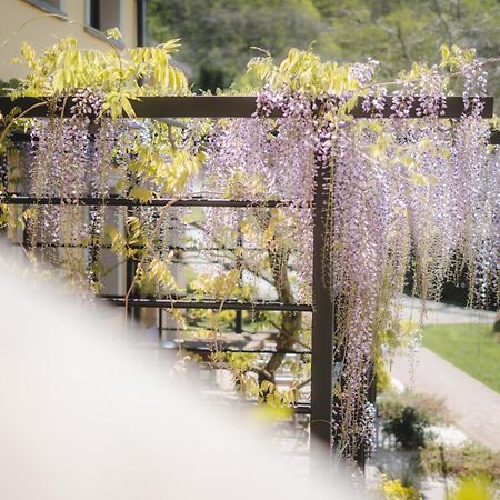 Agriturismo La Valle Di Vico Caprarola Bagian luar foto